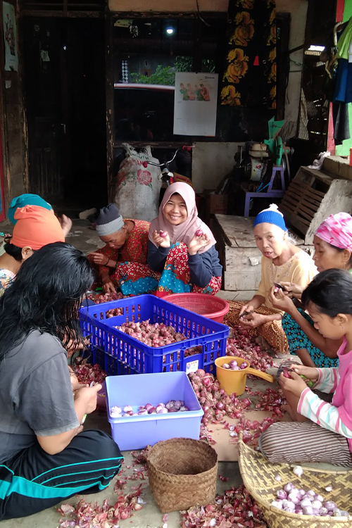 Tumbuh Bersama Petani 3